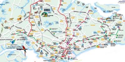 מפת הדרכים של סינגפור